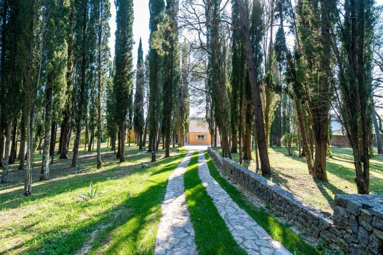 Villa Agave Gruda Buitenkant foto