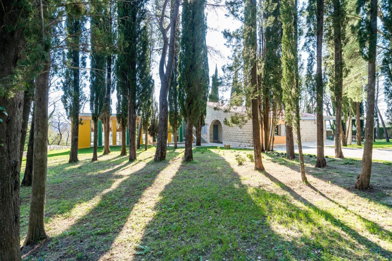 Villa Agave Gruda Buitenkant foto