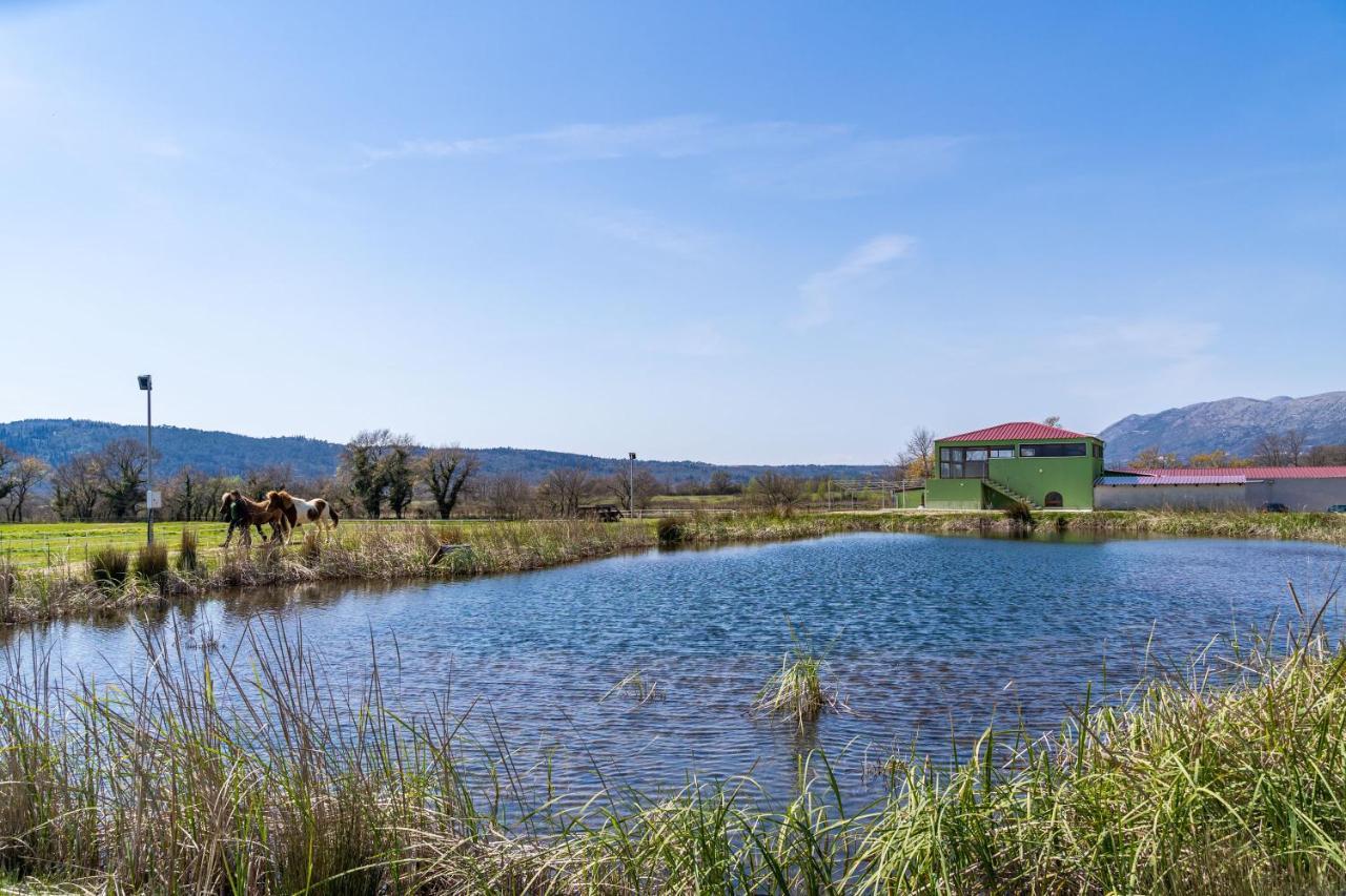Villa Agave Gruda Buitenkant foto