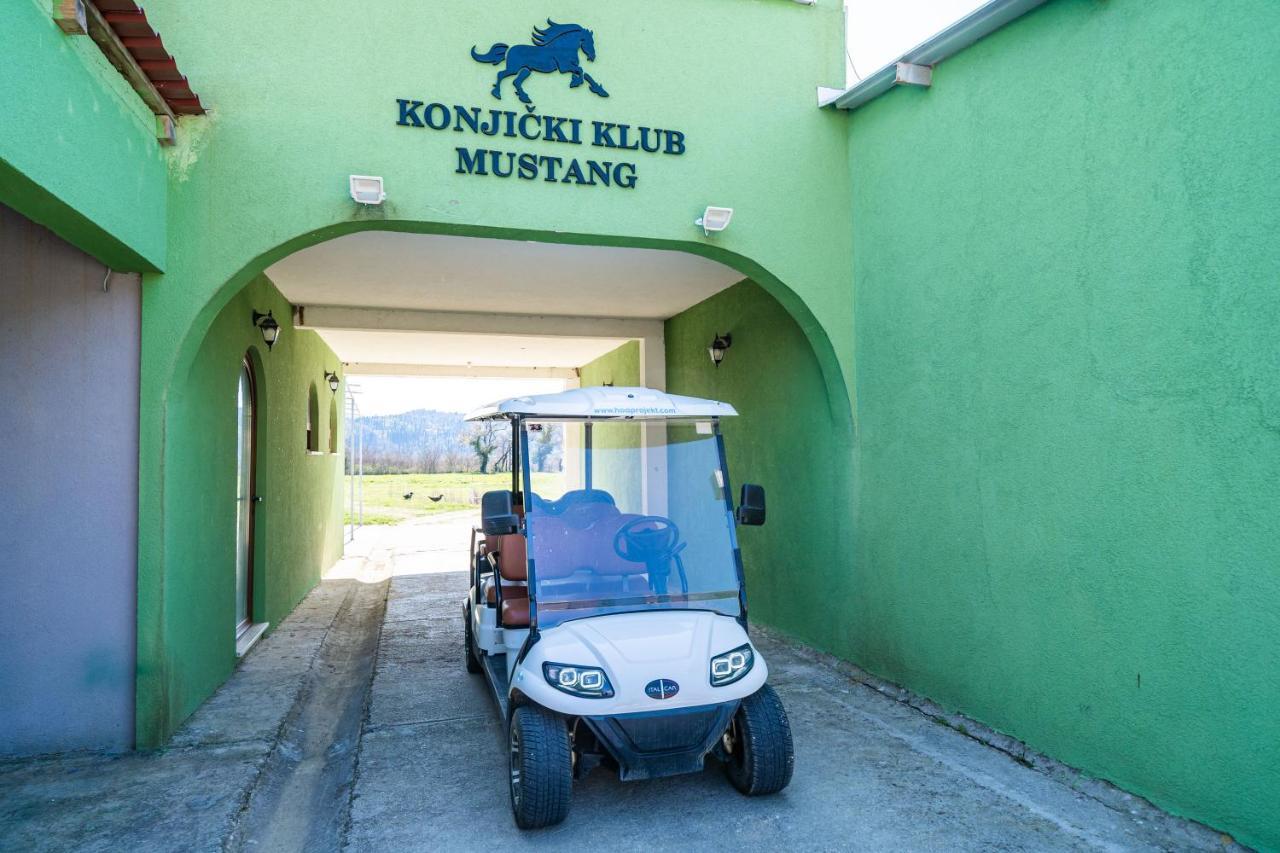 Villa Agave Gruda Buitenkant foto